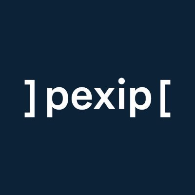 PEXIP HOLDING